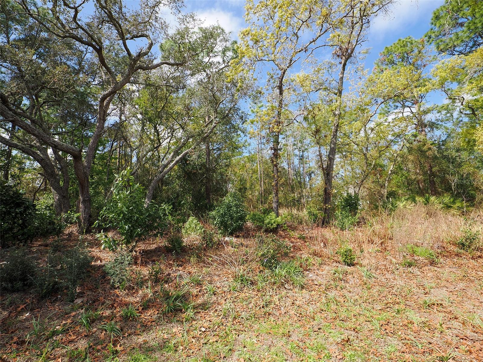 SUGARMILLS WOODS-CYPRESS VILLAGE - Residential