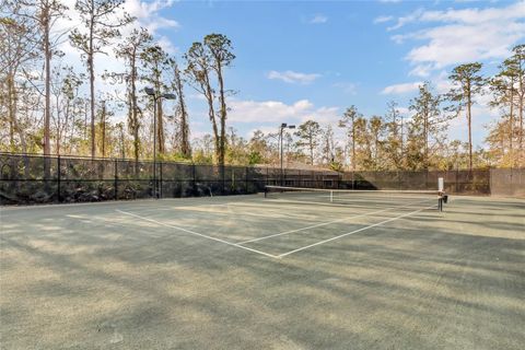 A home in WESLEY CHAPEL