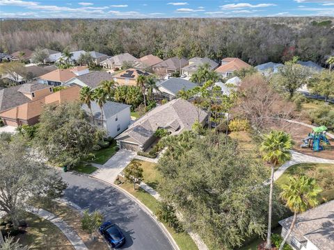 A home in WESLEY CHAPEL