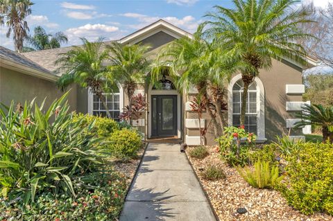 A home in WESLEY CHAPEL