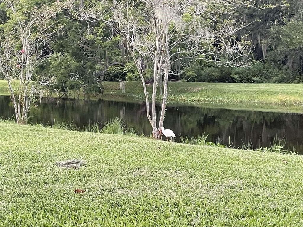 Photo of 0 Loquat Lane, Sarasota, FL 34232 (MLS # TB8428391)