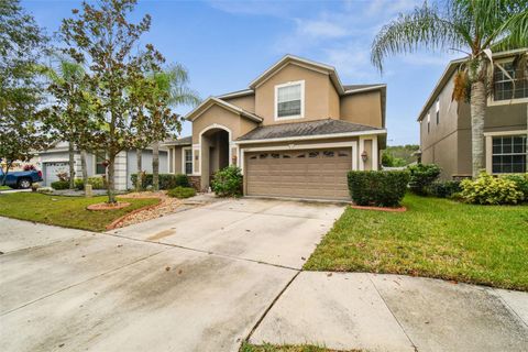 A home in TAMPA