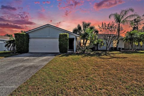 Photo of 814 Satinleaf Avenue, Oldsmar, FL 34677 (MLS # TB8452565)