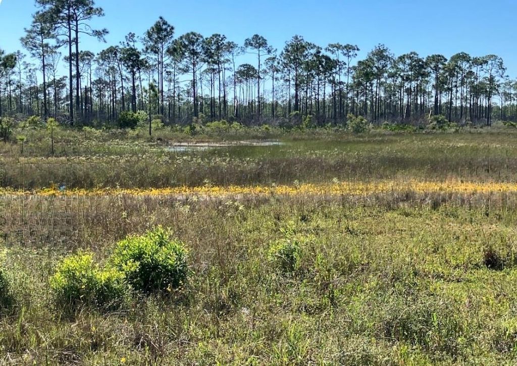 Photo of 825 NE 44th Lane, Cape Coral, FL 33909 (MLS # FC309982)