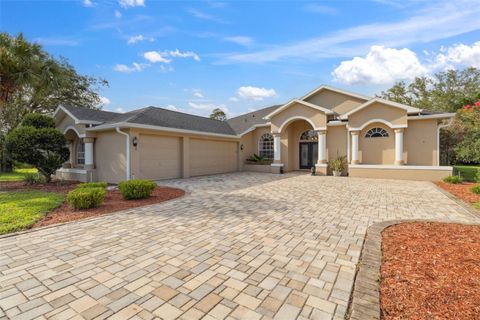 Photo of 9376 Bearwalk Path, Weeki Wachee, FL 34613 (MLS # TB8404839)