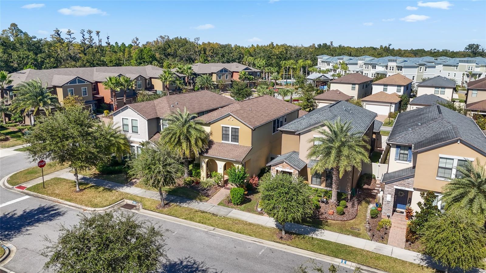 ARBORS/WIREGRASS RANCH - Residential