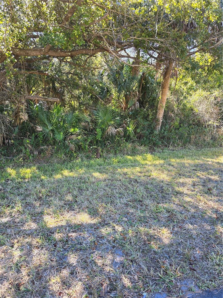 WARM MINERAL SPGS - Land