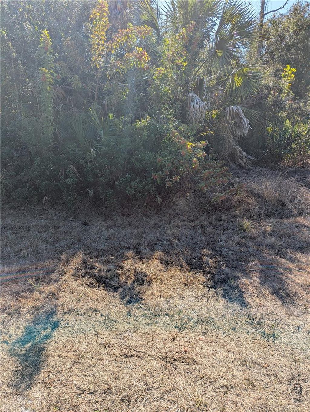 Photo of 1 De Leon Drive, North Port, FL 34287 (MLS # A4680279)