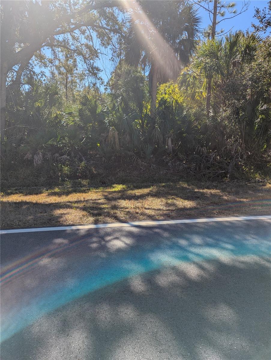 WARM MINERAL SPGS - Land