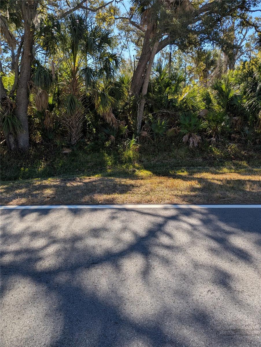 WARM MINERAL SPGS - Land