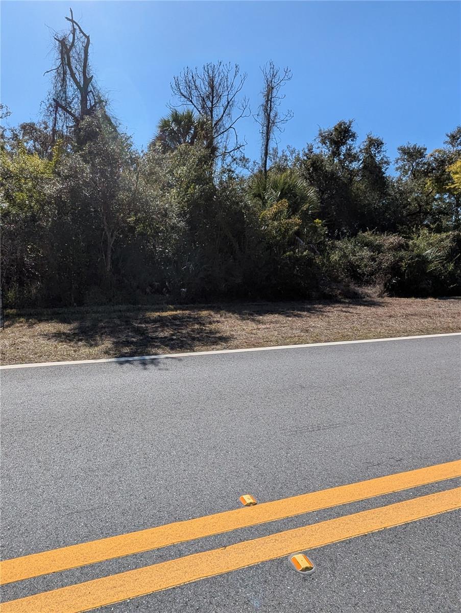 WARM MINERAL SPGS - Land