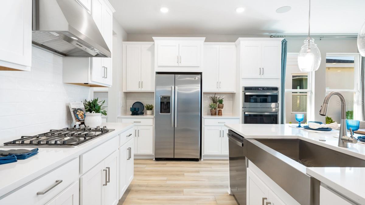 PALMS AT COASTERRA - Residential