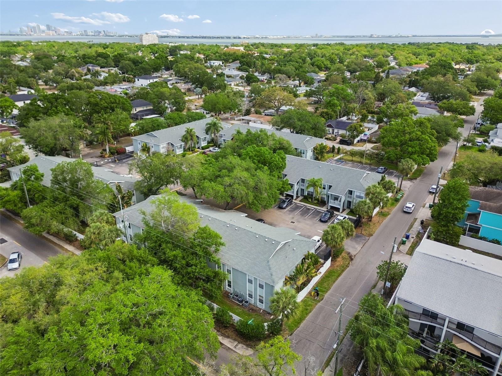 THE PRESERVE AT SOUTH TAMPA A - Residential