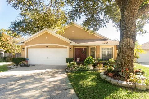 A home in APOPKA