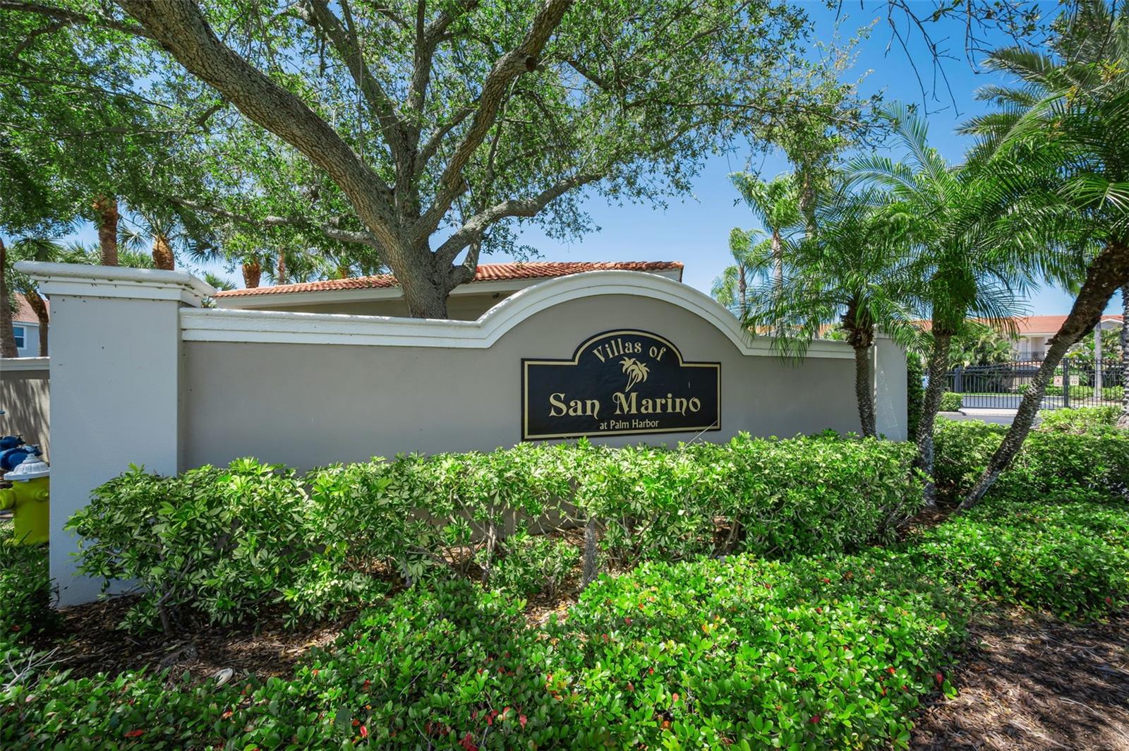 VILLAS OF SAN MARINO AT PALM HARBOR - Residential