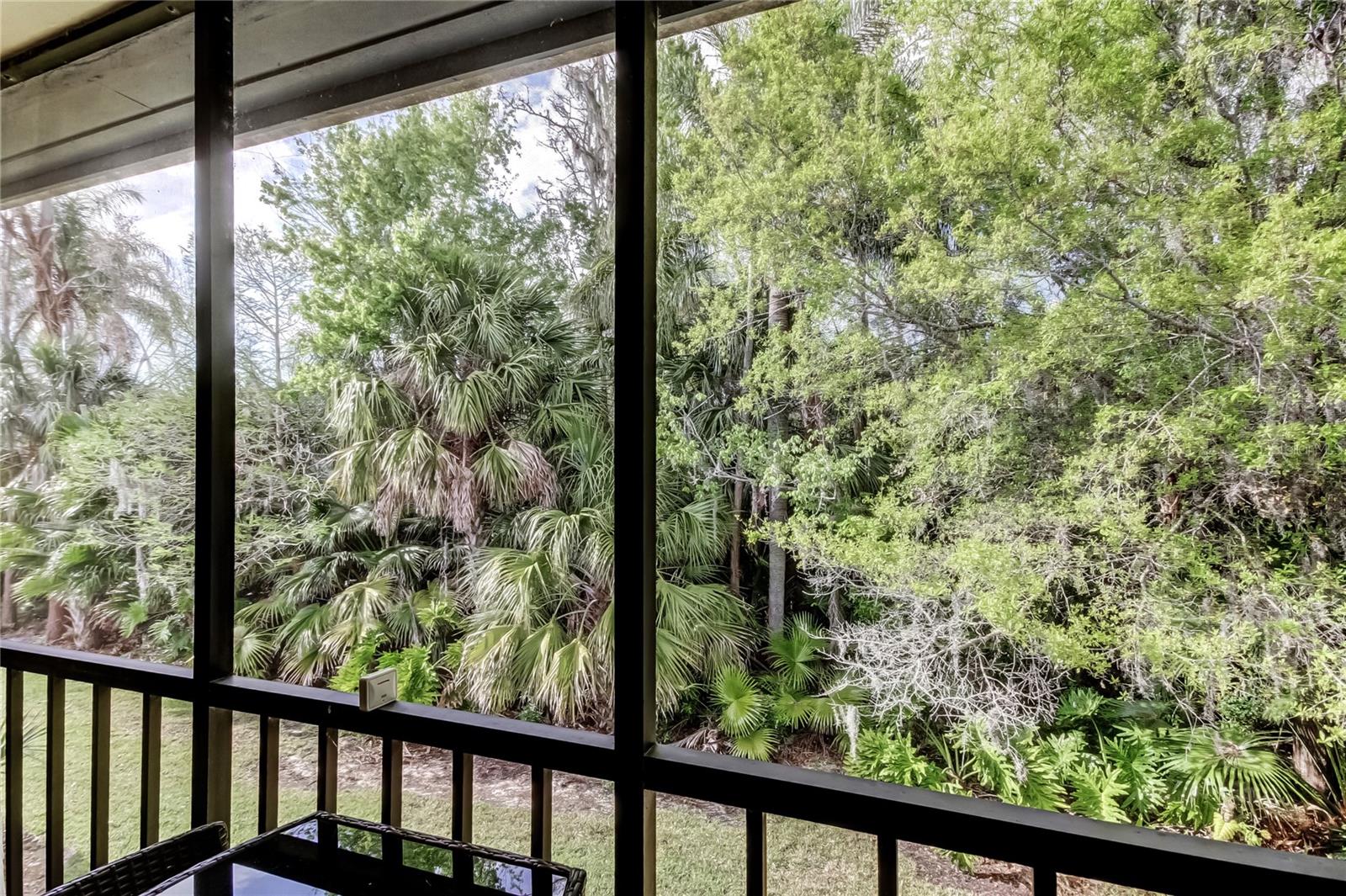 EAST LAKE WOODLANDS CYPRESS ESTATES - Residential