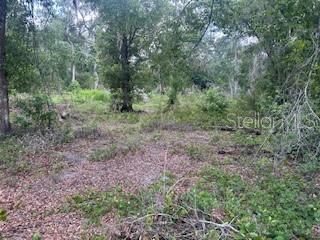 RIDGE MANOR ESTATE - Land