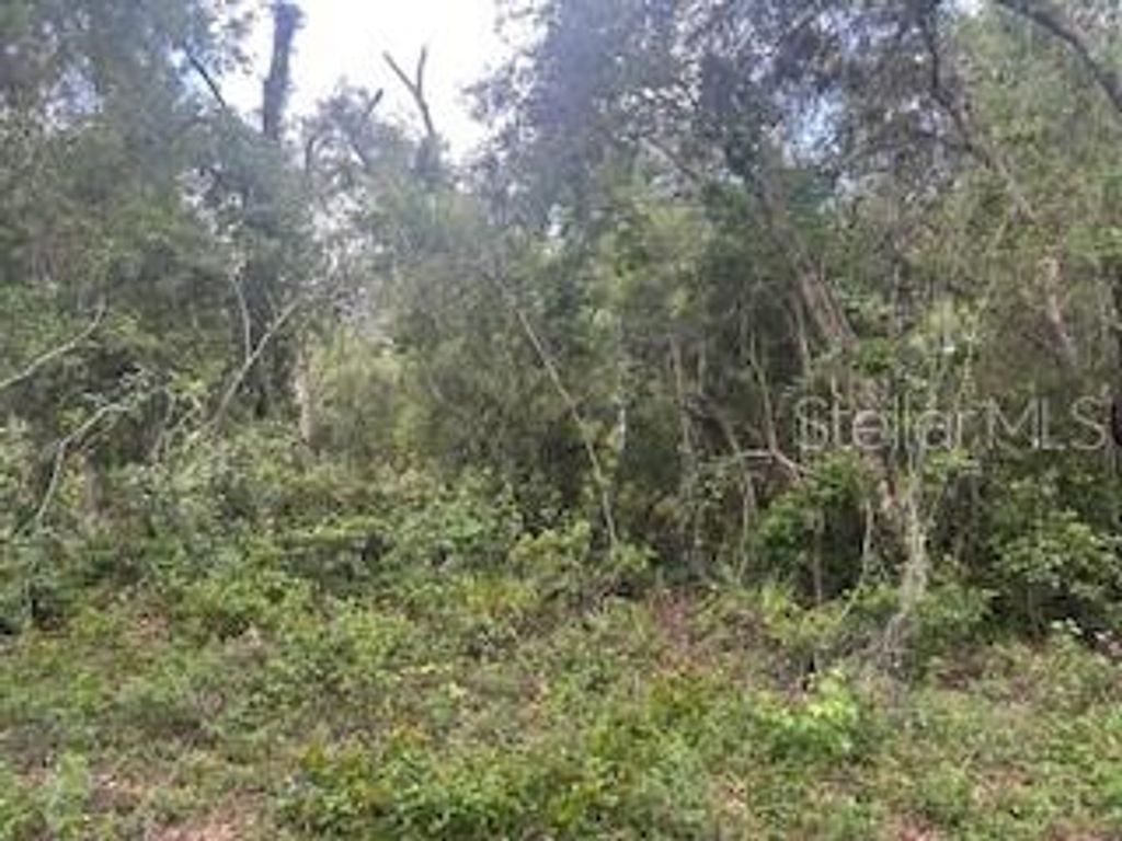 Photo of Karagan Court, Webster, FL 33597 (MLS # G5098030)