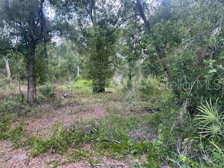 RIDGE MANOR ESTATE - Land