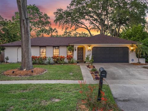 A home in ORLANDO