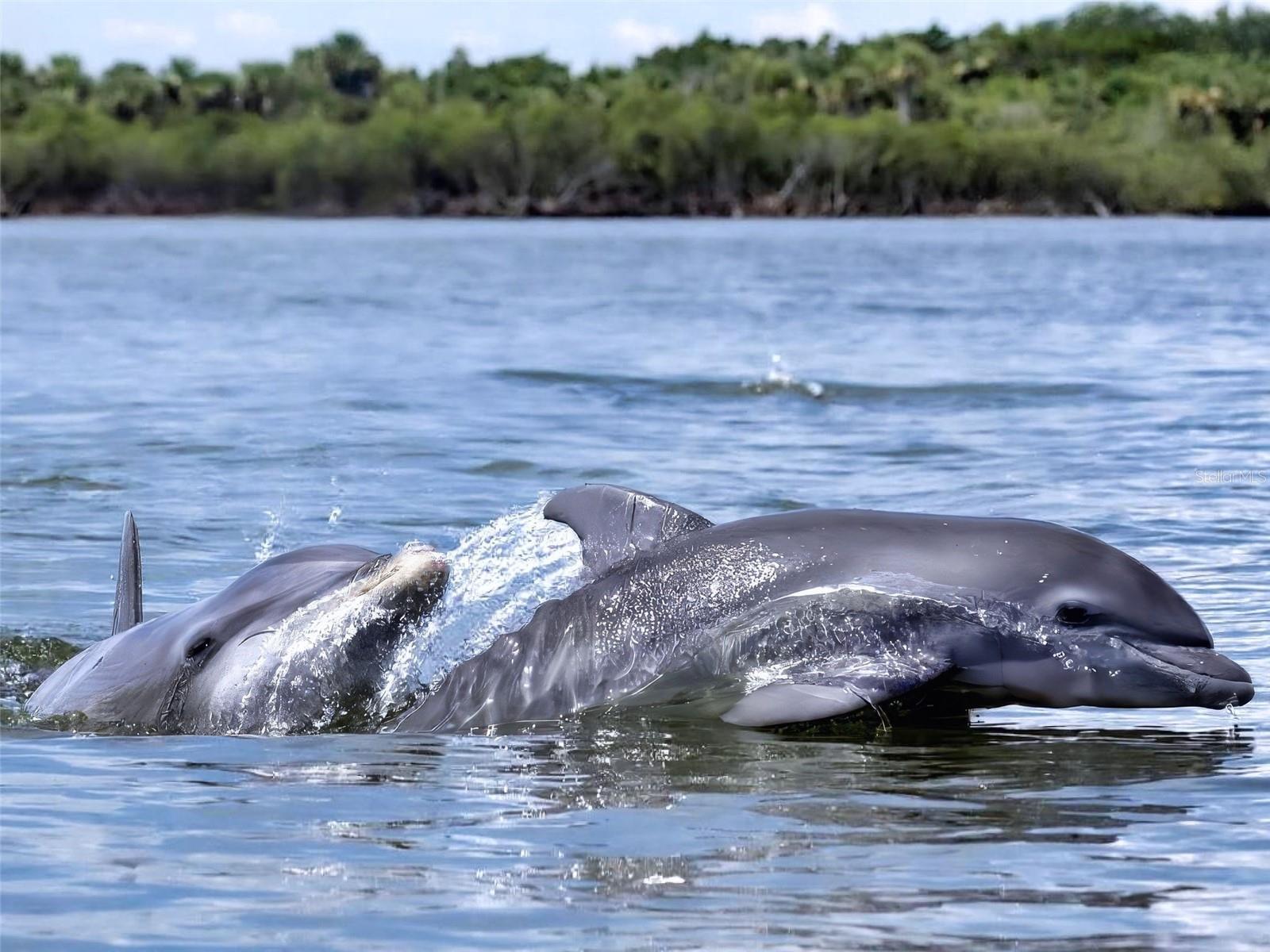 BOUCHELLE ISLAND CONDO - Residential