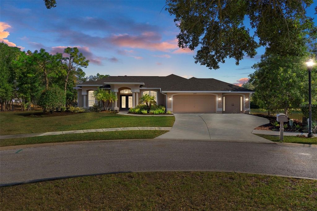 Photo of 13097 Pastore Court, Spring Hill, FL 34609 (MLS # W7881144)