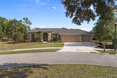 Photo of 13097 Pastore Court, Spring Hill, FL 34609 (MLS # W7881144)