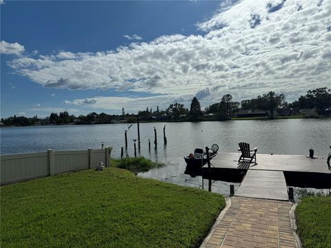 A home in TAMPA