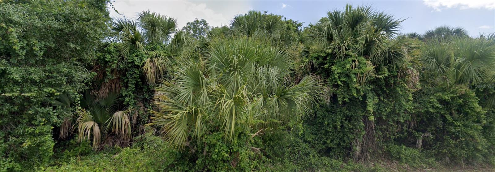 PORT CHARLOTTE SUB 22 - Land