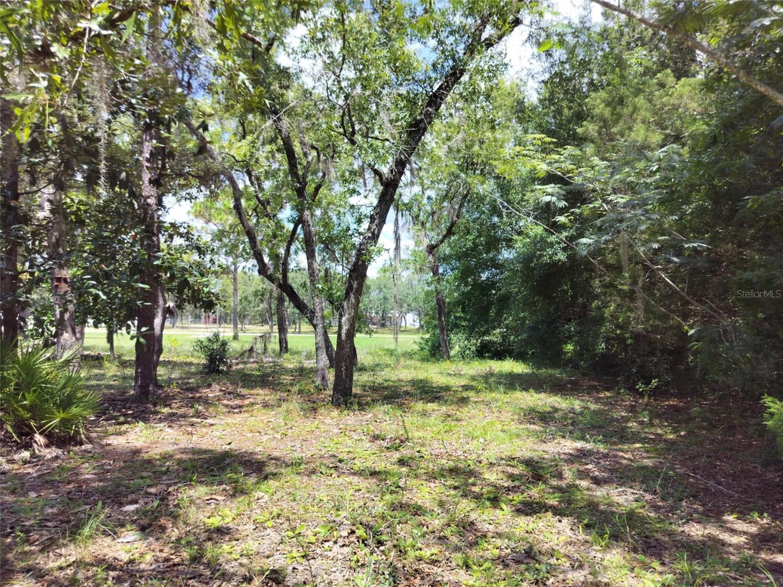 VILLA TERRACE UNIT 9 OF HOMOSASSA - Land