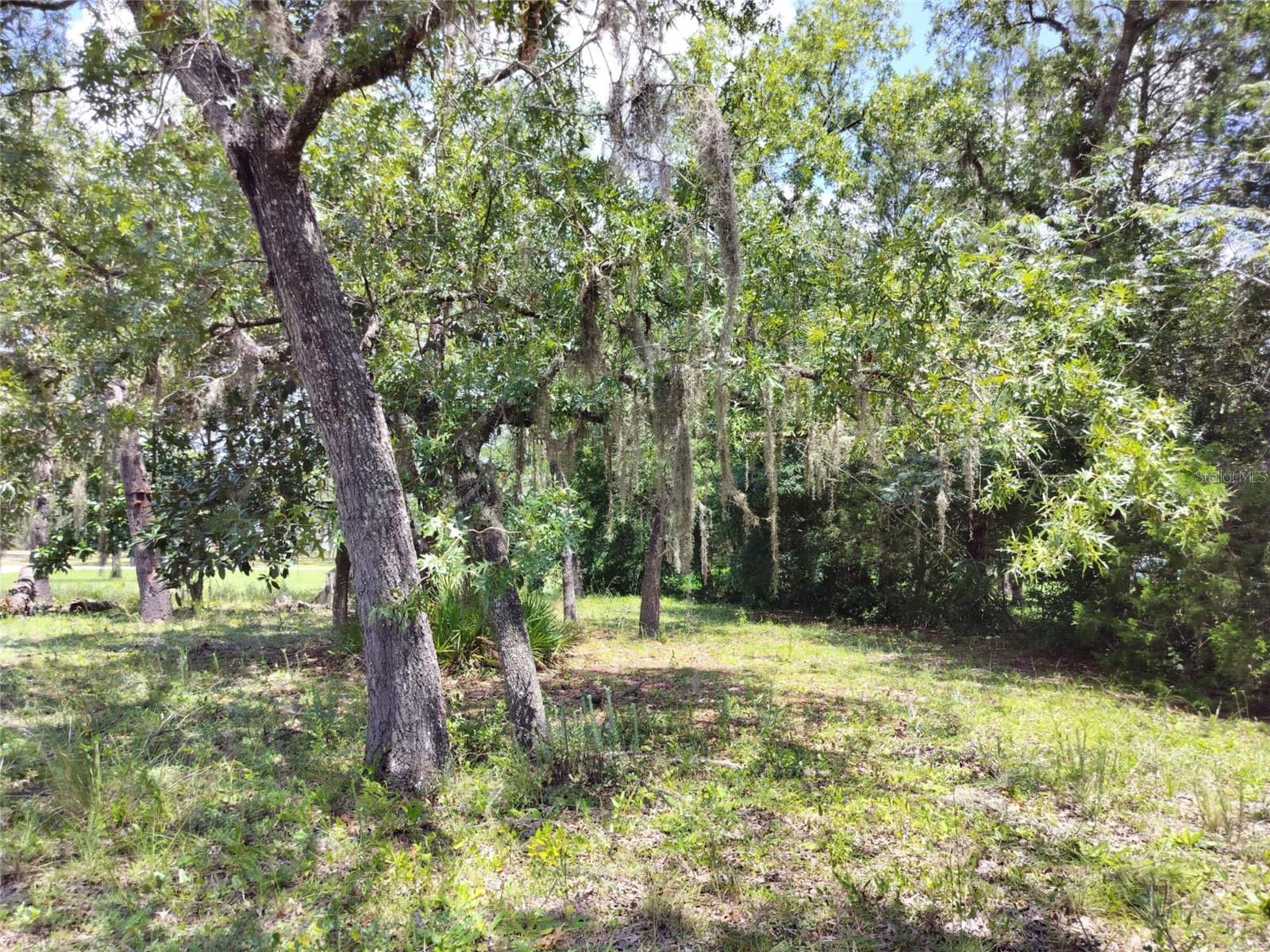 VILLA TERRACE UNIT 9 OF HOMOSASSA - Land