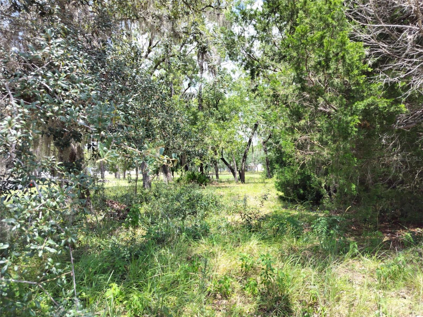 VILLA TERRACE UNIT 9 OF HOMOSASSA - Land