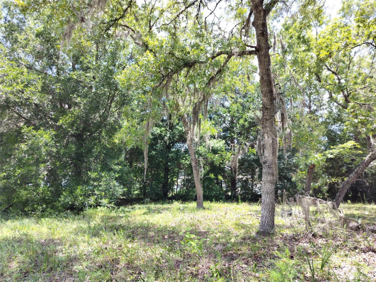 VILLA TERRACE UNIT 9 OF HOMOSASSA - Land