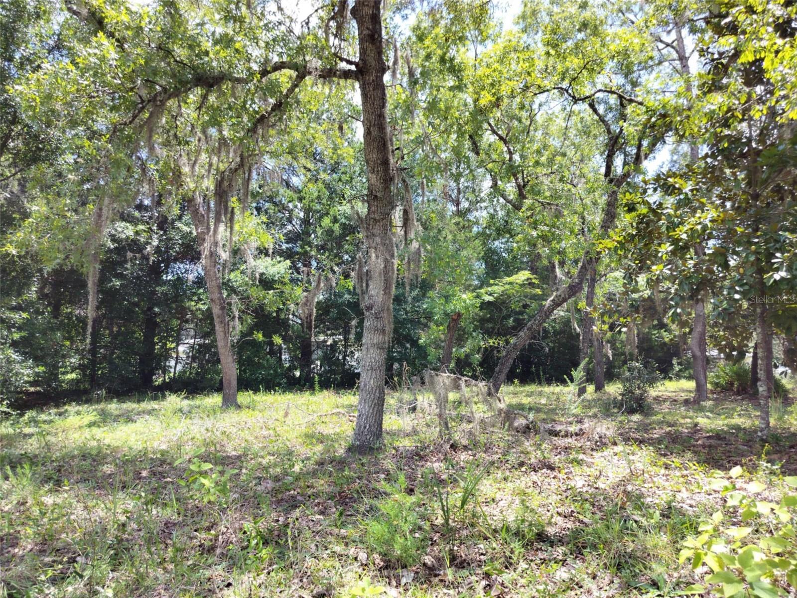 VILLA TERRACE UNIT 9 OF HOMOSASSA - Land