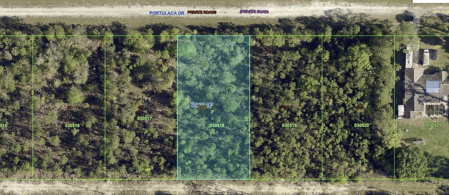 1013 PORTULACA DRIVE