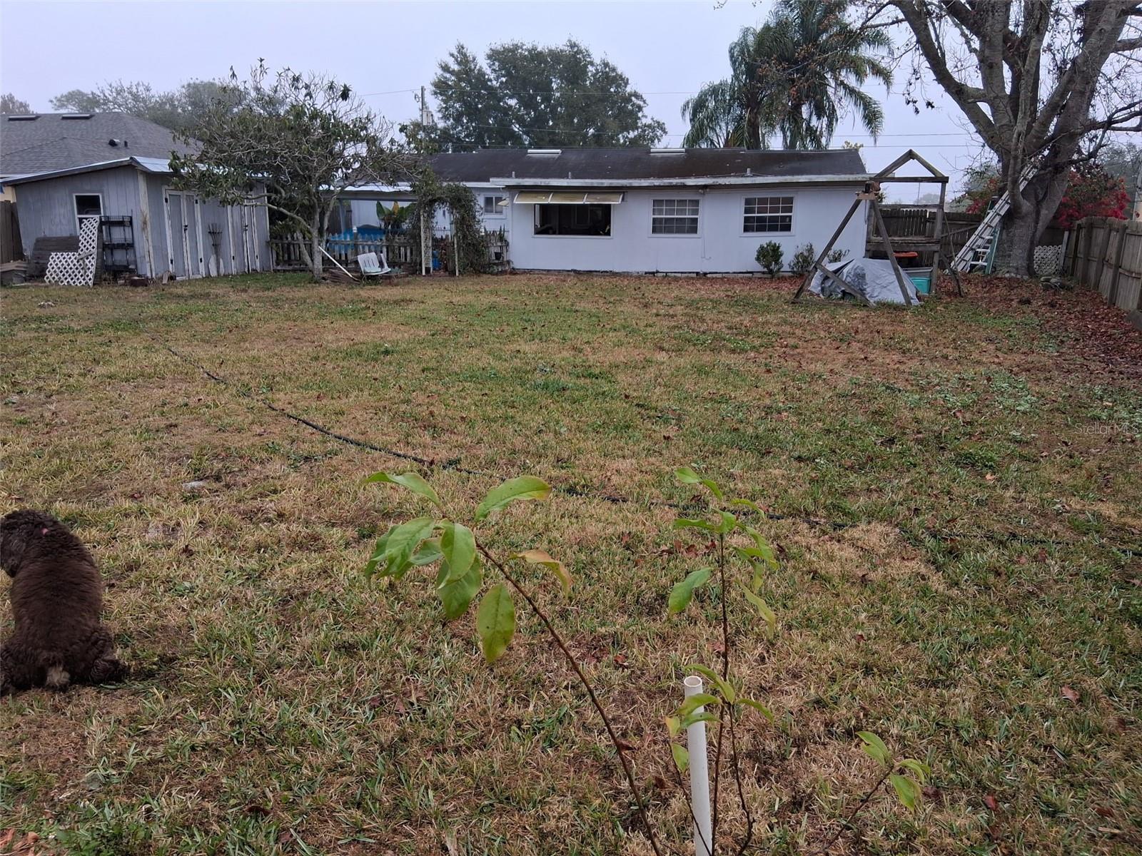 POINCIANA VILLAGE 2 NBHD 3 - Residential