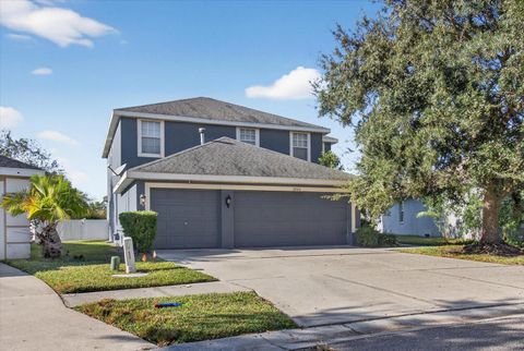 Photo of 20126 Nob Oak Avenue, Tampa, FL 33647 (MLS # O6354832)