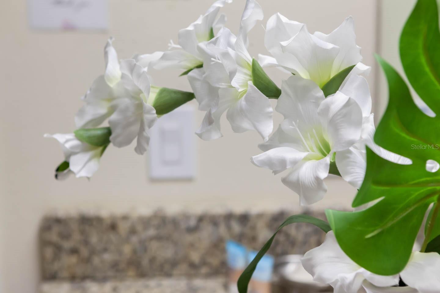 REUNION WEST PH 1 - Residential