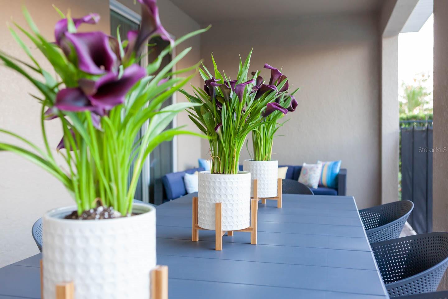 REUNION WEST PH 1 - Residential