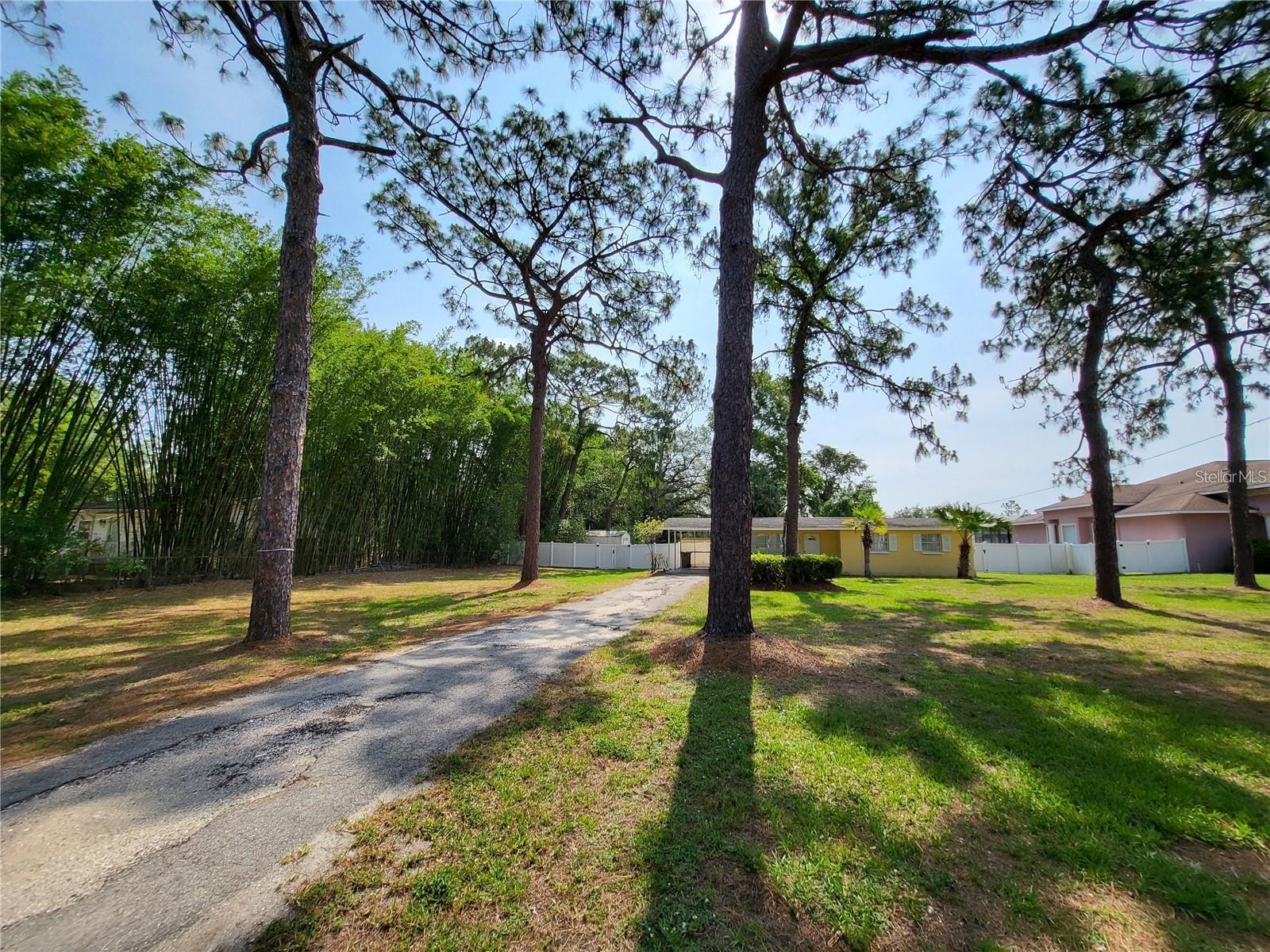 Come see this cozy three-bedroom, one bath Home nestled on nearly a one-acre lot. The huge, fenced backyard offers plenty of space for entertainment and storage. This gem is nestled in a quiet community with mature trees and lush landscaping within the city limits of Temple Terrace. The Limited traffic flow makes this well-maintained area one of the quietest streets in the USF area. Conveniently located within minutes to USF, UAF School, shopping, Uptown area restaurants, Moffit Center and easy access to I-75 and I-275.