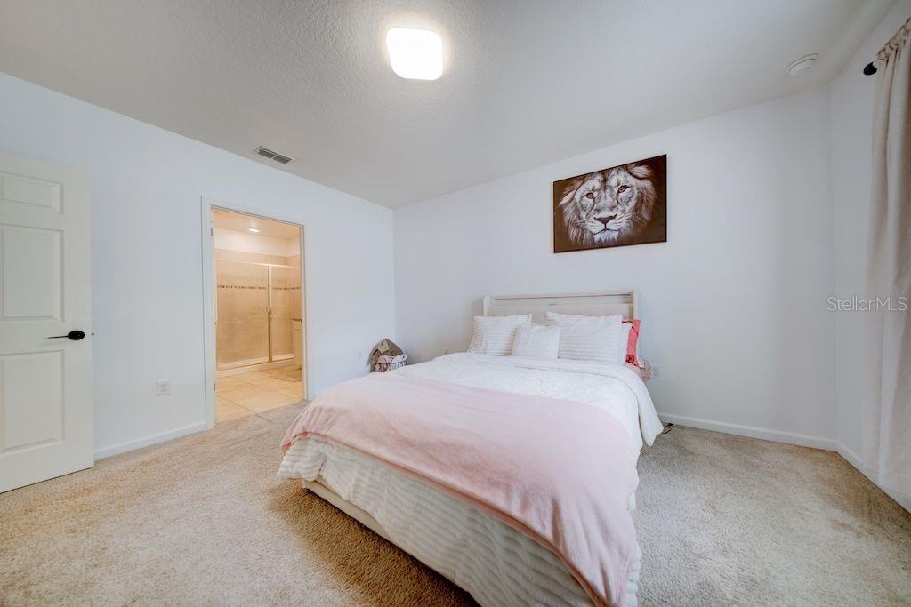 THE PRESERVE AT ST. ANDREWS - Residential