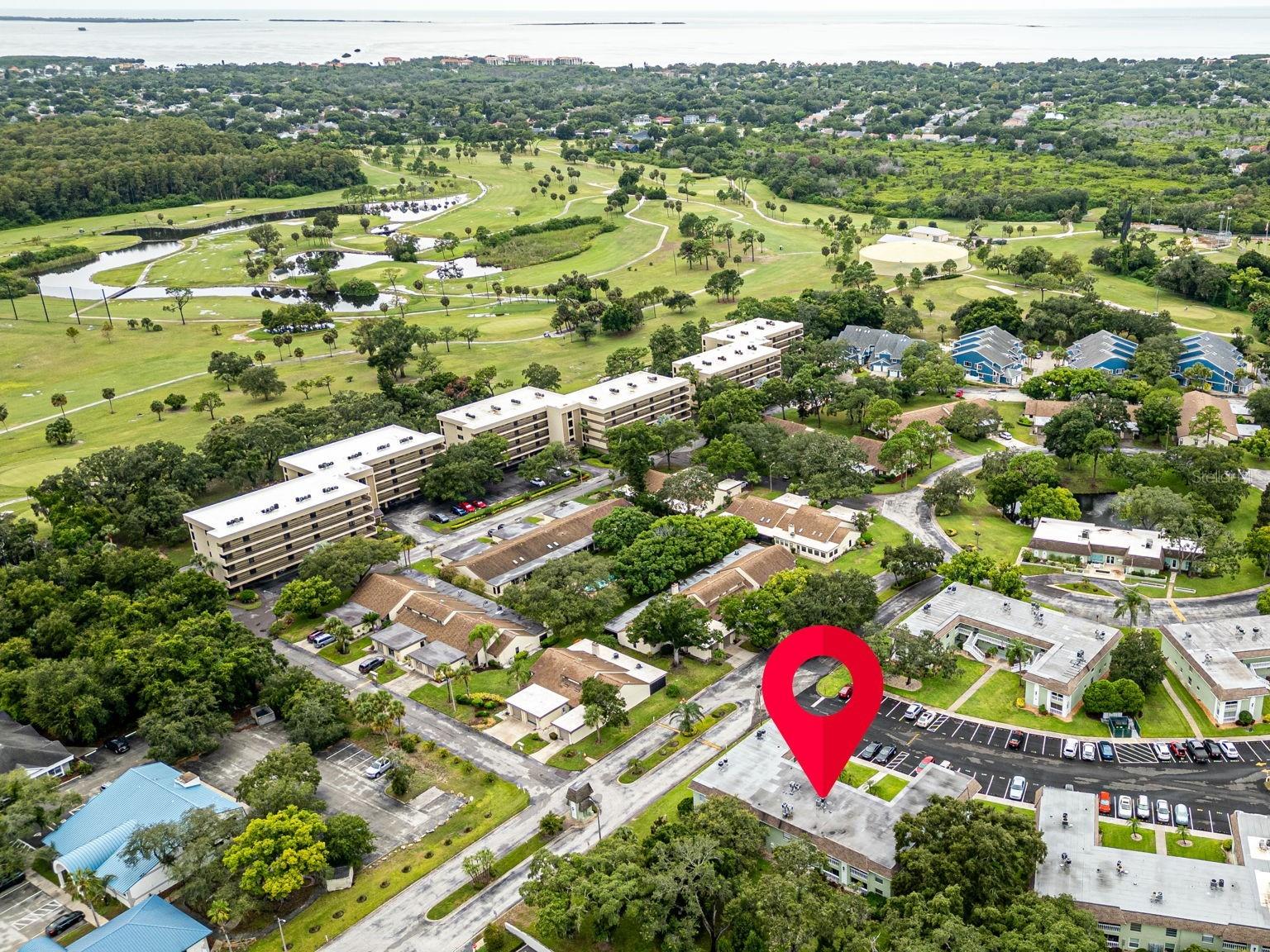 Rarely Available Ground-Floor Condo in Vibrant 55+ Green Dolphin Community!
Don’t miss this beautifully updated 2-bedroom, 2-bathroom ground-floor condo, perfectly located in the highly sought-after Green Dolphin 55+ community! Featuring a modernized kitchen and brand-new AC, this move-in ready gem offers both comfort and convenience in a truly unbeatable location.
Step outside your door and enjoy a wide range of resort-style amenities, including a large heated pool, tennis courts, shuffleboard, and a clubhouse equipped with a fitness center, billiards, darts, recreation room, and a full kitchen library/game room—ideal for social gatherings and staying active.
Situated right next to the Tarpon Springs Golf Course. Enjoy easy access to the famous Sponge Docks, SUNSET & FRED HOWARD BEACHES, parks, art festivals, concerts, and top-rated restaurants. Plus, you're just a short drive from Clearwater Beach, Honeymoon Island and nearby small towns of Dunedin, Palm Harbor and Safety Harbor. Historic downtown Tarpon Springs is full of charm with brick streets, antique shops, art galleries, and a calendar packed with events—from First Friday street festivals to art shows, concerts, parades, and seasonal markets.
Outdoor lovers appreciate the Pinellas Trail, a 50+ mile paved trail that runs right through the city—great for biking, walking, or jogging. There are also golf courses, nature parks, and plenty of spots to fish or boat.
Tarpon Springs offers the perfect mix of small-town feel and modern convenience. You’re close to shopping centers, hospitals, and major roadways—with easy access to Tampa International Airport, Clearwater Beach, and St. Petersburg.
This is Florida living at its finest—act fast, this one won’t last!