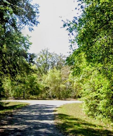 Photo of Sequoia Drive #Lot 5, Ocklawaha, FL 32179 (MLS # A4695966)