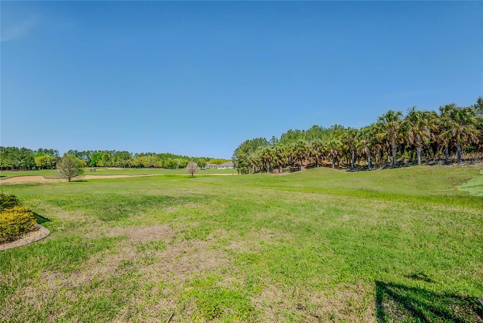 STONE CREEK BY DEL WEBB-PINEBROOK - Residential