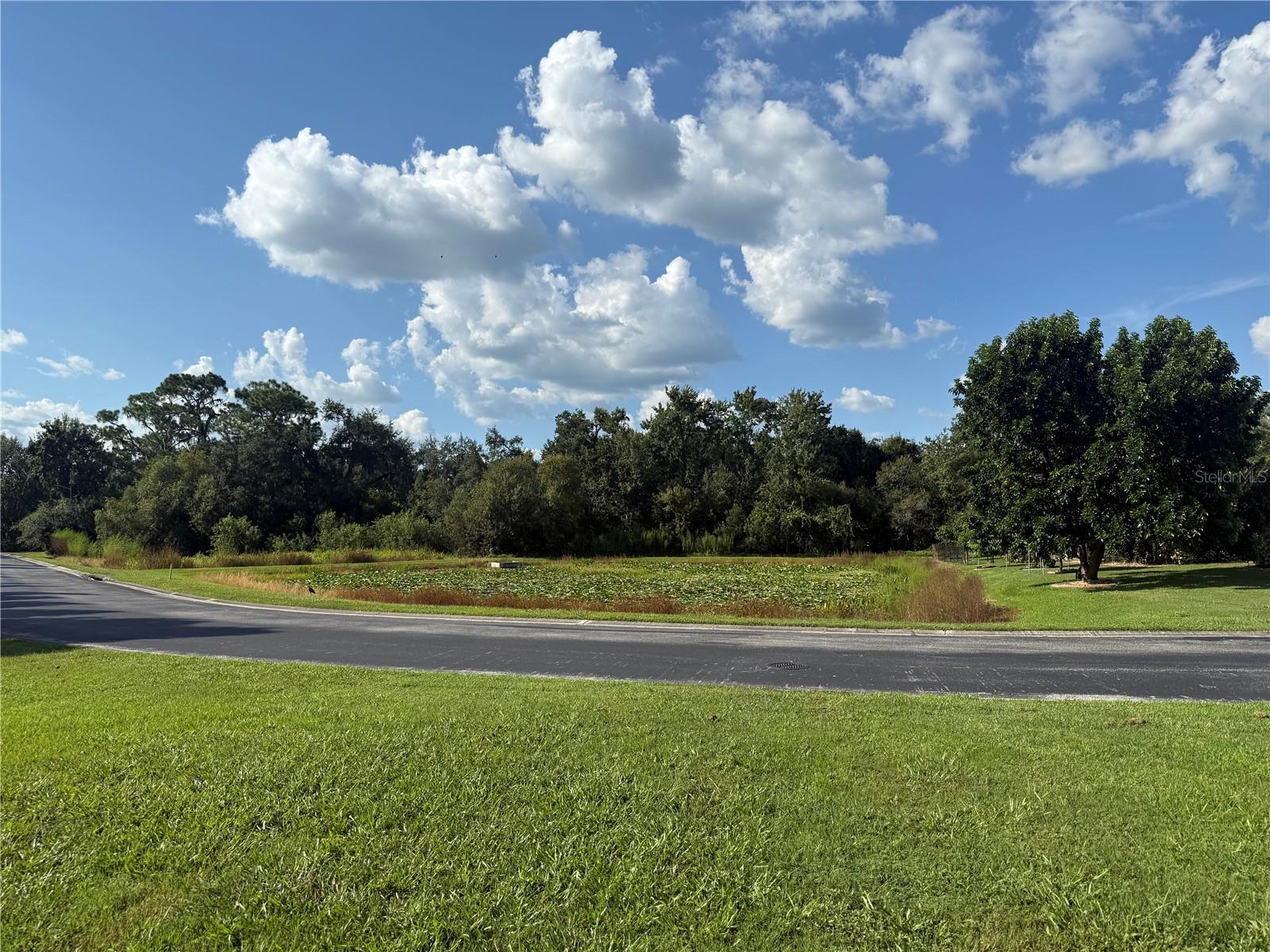 LAKE GIBSON SHORES - Land