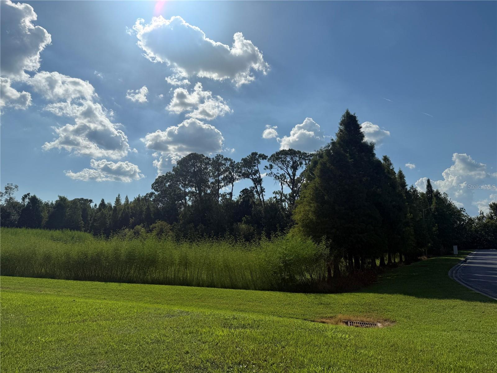 LAKE GIBSON SHORES - Land