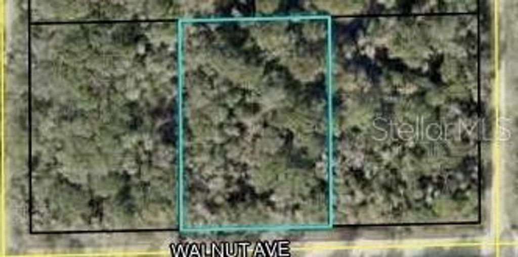Photo of 6502 Walnut Avenue, Bunnell, FL 32110 (MLS # FC315222)