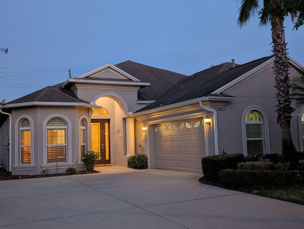 Photo of 20903 Amanda Oak Court, Land O Lakes, FL 34638 (MLS # TB8372558)