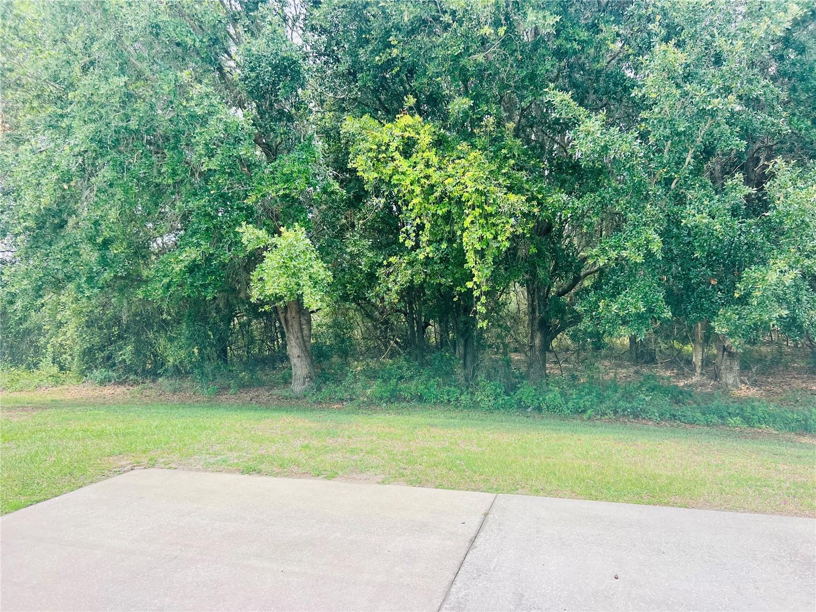 FLORIDA GRANDE MOTOR COACH RESIDENCE - Land