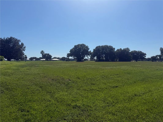 8125 SW AVIARY RD, ARCADIA, FL 34269 - Image b1f87b67ccadfe6e3bde2ddbc1a12af9/1588948024